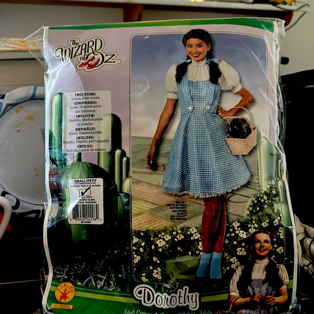 Dorothy Halloween costume
